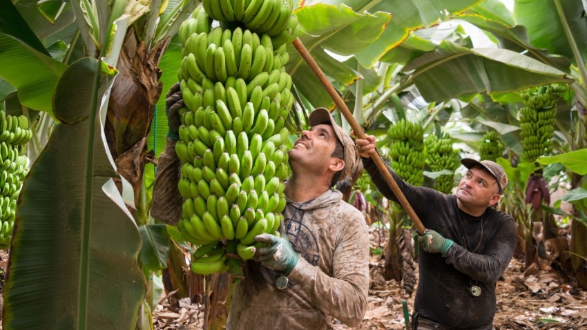 Misión y visión imagen